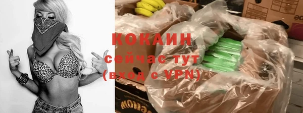 дживик Алзамай