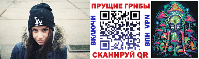 Псилоцибиновые грибы мухоморы  Пущино 