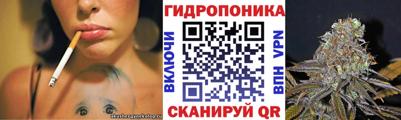 Конопля конопля  Пущино 